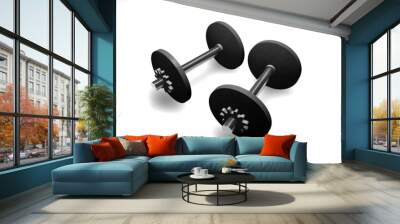 barbells Wall mural