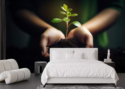 Close up of human hands holding green plant with soil over blurred background Wall mural