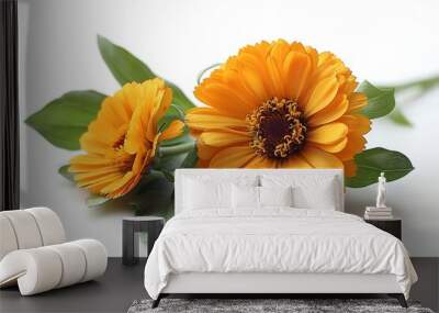 Marigold, garden Flower isolated on white background.close up. Wall mural