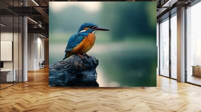 Blue Kingfisher Bird Perched on a Log in Water Wall mural