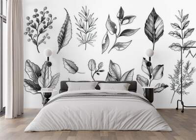 A collection of hand drawn leaves and plants Wall mural