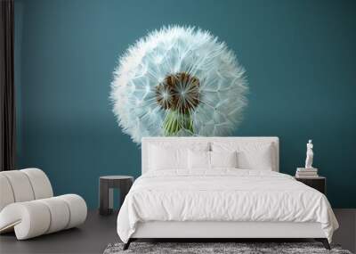 dandelion, nature landscapes, sun and green, backgrounds Wall mural