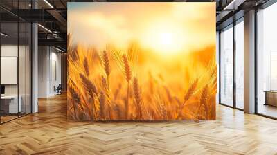 Peaceful scene of wheat field at sunrise Wall mural