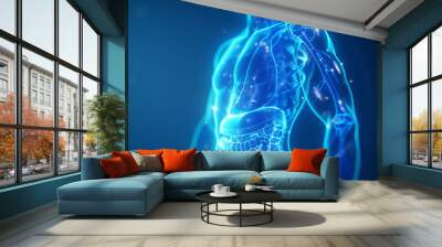 3d rendered illustration of a body Wall mural