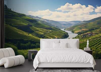 Vineyards on terraced beautiful view Wall mural