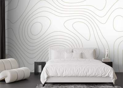 Abstract topographic map lines, contour map background. .topographic 3D waves map background .abstract white wave paper curved reliefs. Wall mural