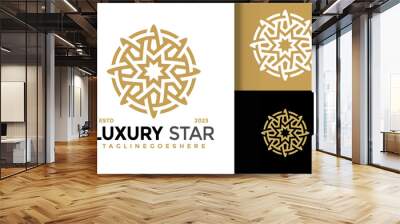 Luxury star geometric logo vector icon illustration Wall mural