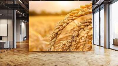 Rice plants ready to harvest with a field background Wall mural