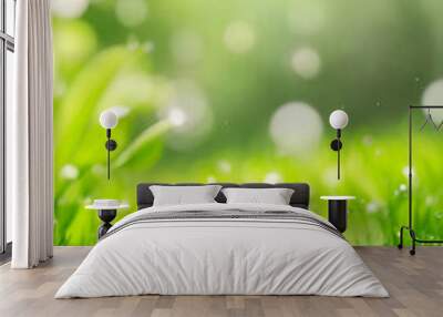 A natural green grass with water drops background. Wall mural