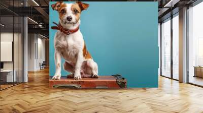 Cute dog with a leather collar sitting atop a vintage suitcase against a blue background. Wall mural