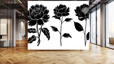 Set of black silhouettes of decorative fresh blossoming peony with steam and leaves. Hand drawn outline flower icon. Vector monochrome illustrations isolated on transparent background. Wall mural