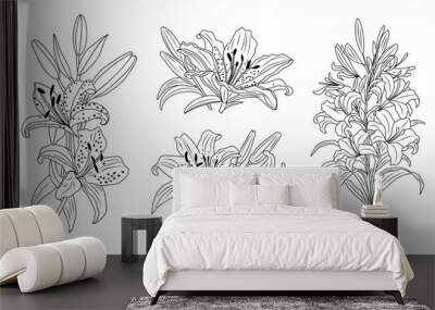 Set of Lily flower line art vector botanical illustrations. Trendy greenery hand drawn black ink sketch. Modern design for logo, tattoo, wall art, branding and packaging. Transparent background. Wall mural