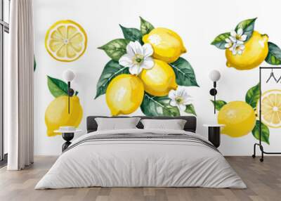 Watercolor lemons set. Collection of whole and cut lemons, branches with leaves and flowers vector cartoon illustrations isolated on transparent background. Fresh juicy citrus fruit. Wall mural