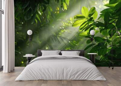 Sunlight filtering through green foliage in the morning Wall mural