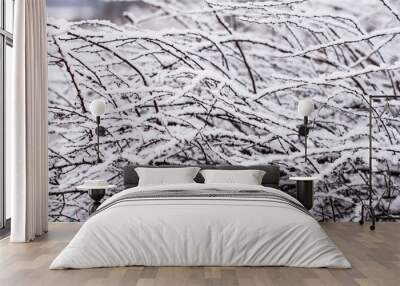 Dry tree branches with snow. Wall mural