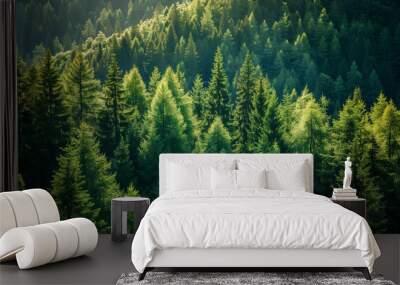 Healthy green trees in a forest of old spruce, fir and pine Wall mural