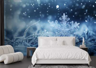 snowflake ice crystals snow falling on frozen ground and plants on a cold winter night Wall mural