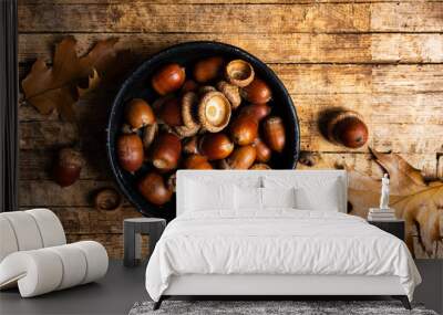 Acorns on a rustic wooden table Wall mural