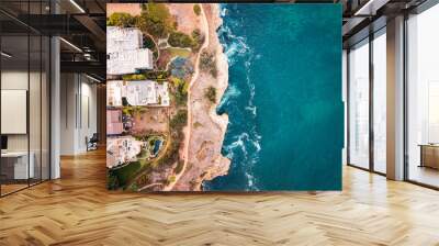 Aerial view of La Jolla coastline in San Diego Wall mural