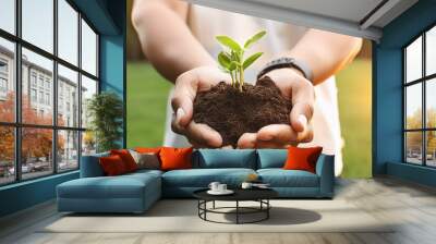 Growth of plant seeds in hand. Earth Day theme. invitation to save forests by planting trees. Wall mural