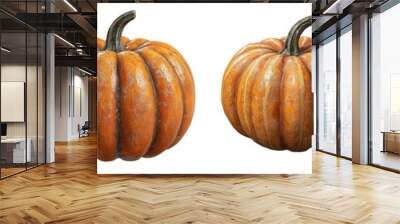 Collection 3D of Four decorative pumpkins with varying shapes and textures, isolated on a white background. Wall mural