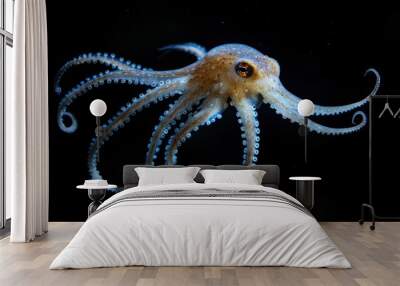 Close-up of a Small Octopus in the Dark Wall mural