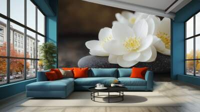 A bouquet of white flowers sits on top of two black stones Wall mural