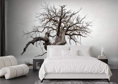 A gnarled, dead tree stands in the desert sand. Wall mural