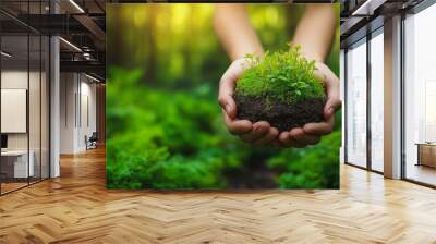 A person is holding a plant in their hands. The plant is small and green, and it is a moss Wall mural