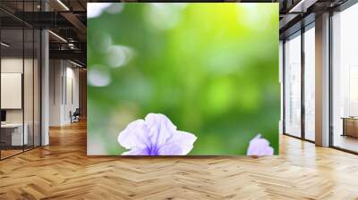 Two light purple flowers are blooming in brown soil, with a blurry green background. The sun is shining brightly. Wall mural