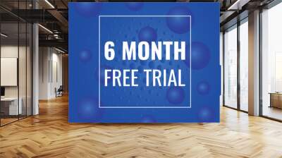 6 month free trial banner design. 6 months free banner background
 Wall mural