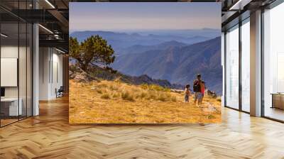 Sunny day over tree on Mont Aigoual Wall mural