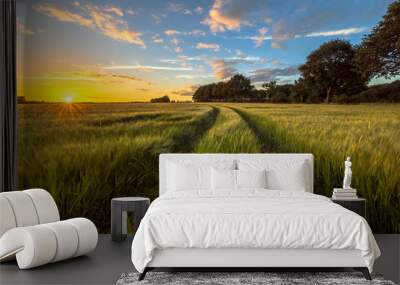 Tractor Track through Wheat field at sunset Wall mural