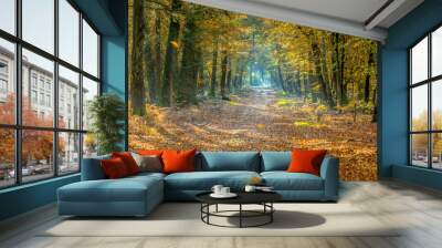 Walkway in hazy autumn forest Wall mural