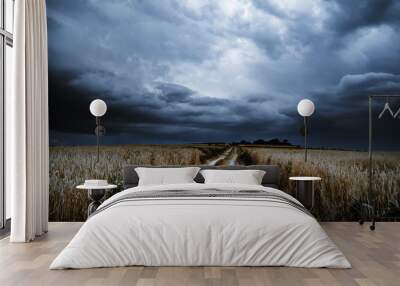 Dramatic storm clouds timelapse over rye fields. Country landscape of the hurricane. Very windy weather. Plain field of wheat against the background of dark sky Wall mural