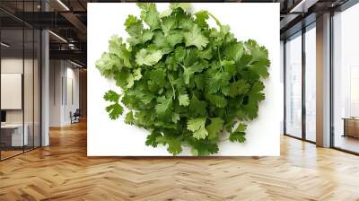 A bunch of fresh coriander leaves, floating with a natural, airy arrangement, some leaves overlapping slightly, isolated on a white background Wall mural