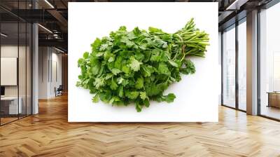 A bunch of fresh coriander leaves, floating with a natural, airy arrangement, some leaves overlapping slightly, isolated on a white background Wall mural