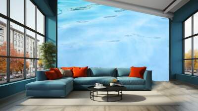 Blue pool water texture with copy space Wall mural