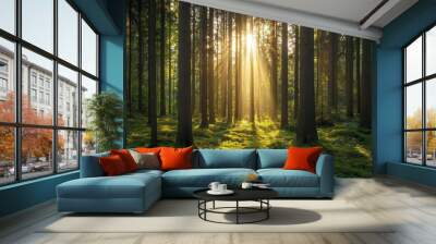 Majestic forest with towering trees, sunlight filtering through the canopy, peaceful and quiet Wall mural