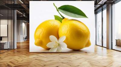 Detailed Close-Up of Lemons on Clean White Backdrop Wall mural