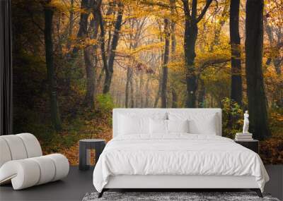 Autumn forest road scene Wall mural