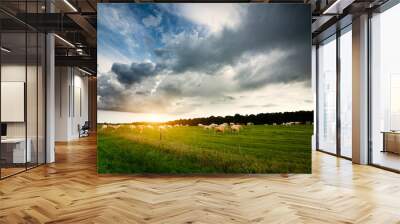 Cows on the pasture, storm clouds in the sky Wall mural