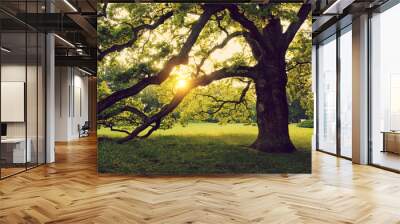 Old big tree on the summer park Wall mural