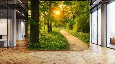 Path on the park Wall mural