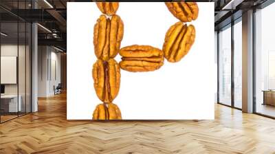 Pecan Letter Isolated on White Wall mural