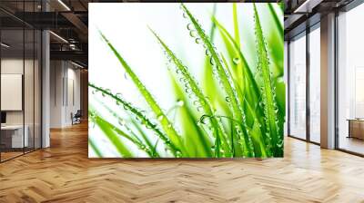 Green grass with raindrops Wall mural