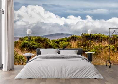 california landscape of grassy rolling hills and dramatic clouds Wall mural