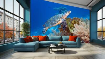 sea turtle on the coral reef Wall mural