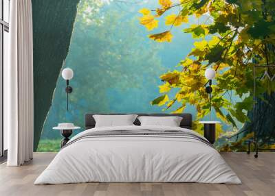 Beautiful autumn landscape with yellow trees,green, sun and blue Wall mural