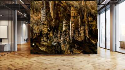 Cave Grotte des Grandes Canalettes in French Pyrenees full of stalagmites and stalactites beautiful scenery in geologic site Wall mural